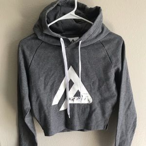 Alphapack Fitness Crop Hoodie